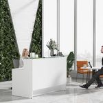 Mueble_de_Recepcion