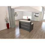 Counter_de_recepcion_moderno